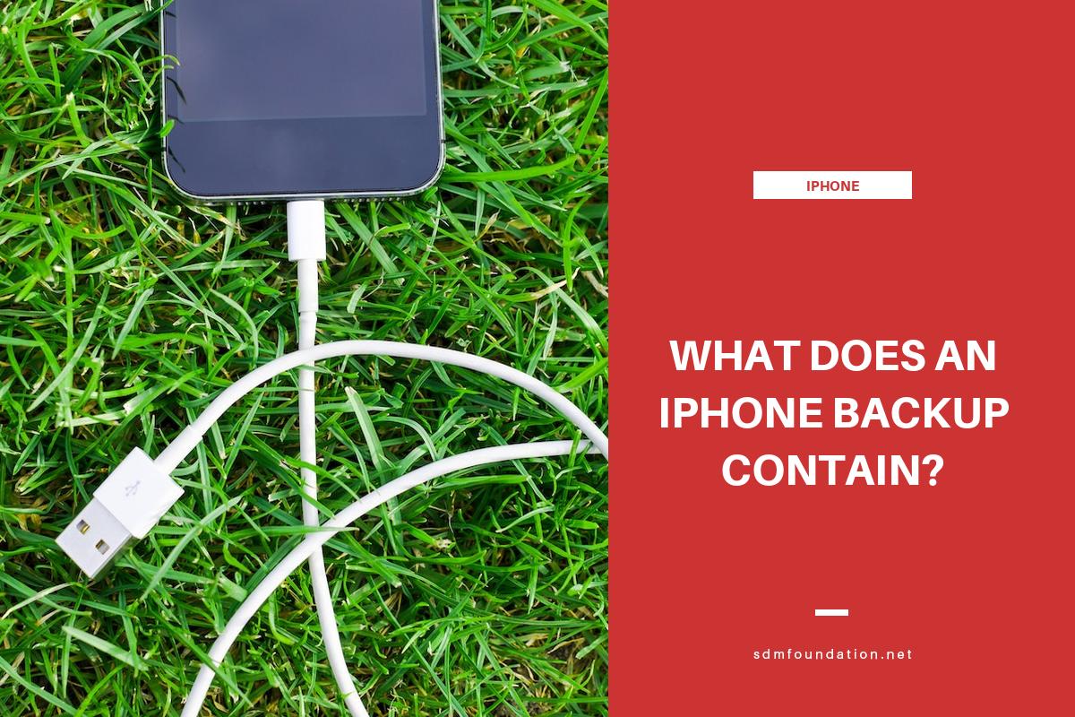 What does icloud backup contain for an iphone sdm foundation