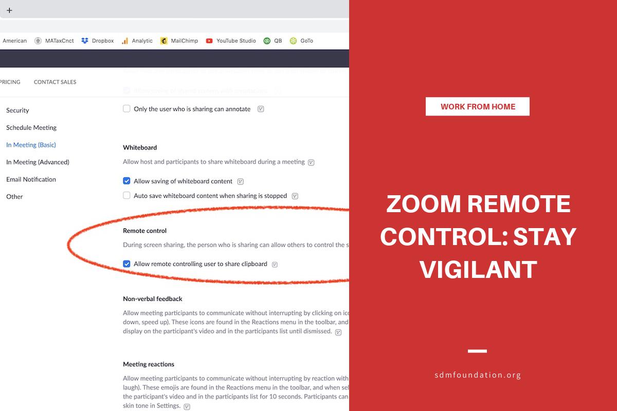 Zoom Remote Control: Stay Vigilant - SDM Foundation